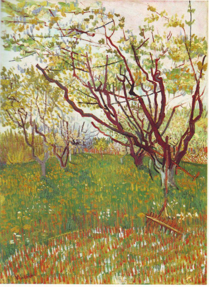 Van gogh cerisier top