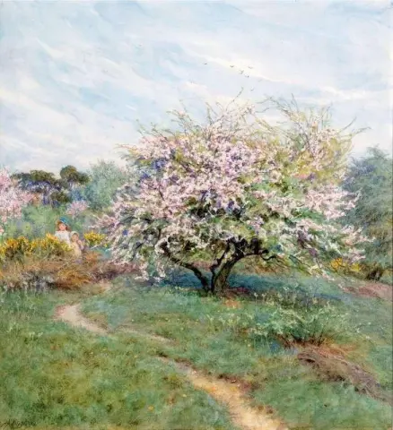 Rabapple Trees Hampstead Heath S.d.