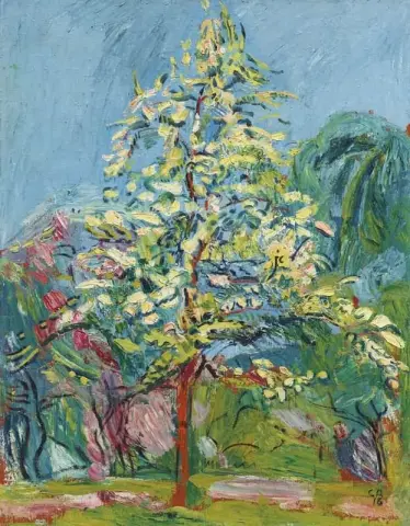 Baum in voller Blüte