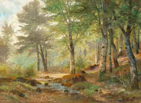 Herbstliche Waldlichtung Mit Bach