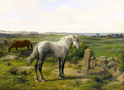 Caballos cerca de la playa