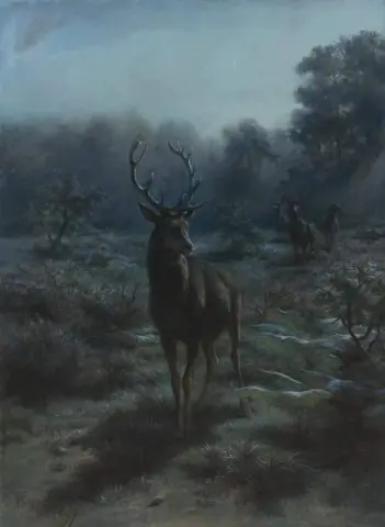 King Of The Forest 1897