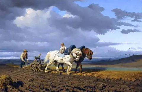 Arando 1884
