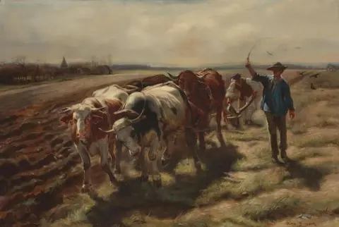 Bueyes arando 1875