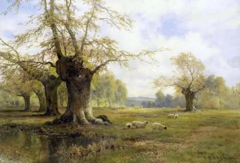 A Sunny Morning Burnham Beeches