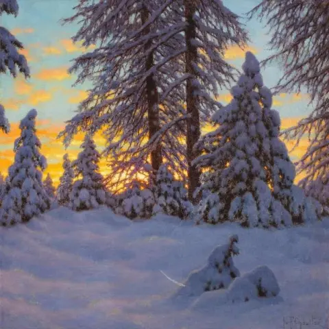 Vintersolnedgang