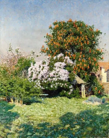 Blommande träd