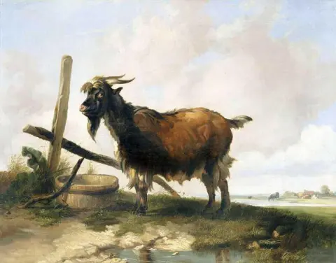 En geit i et landskap