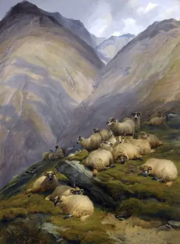 I høylandet 1871