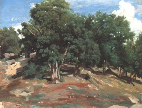 Fontainebleau Black Oaks from Bas Breau
