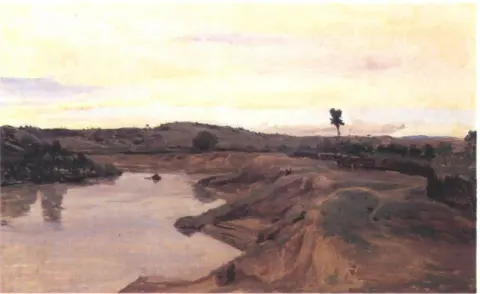 Paseo de polluelos en el campo de Roma
