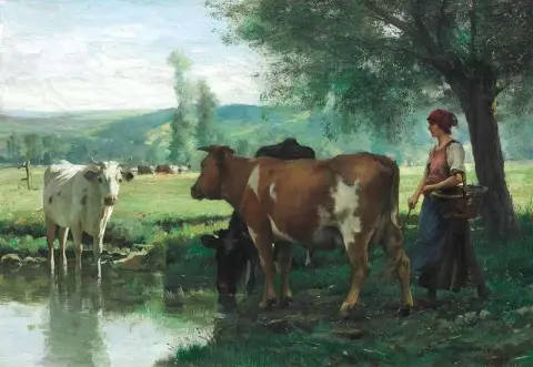 O rebanho de vacas