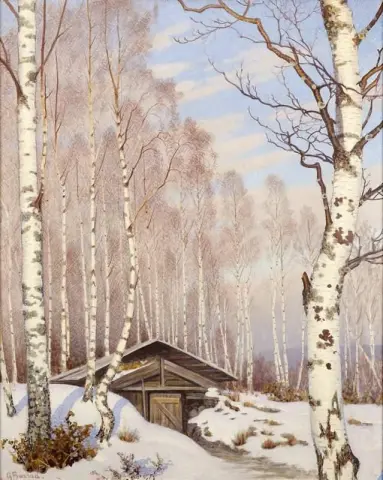 Bjorkar I Varvinter