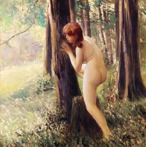 Puu nymfi