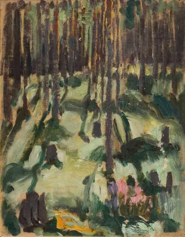 Raios de sol na floresta