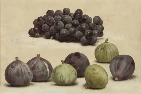 Natura morta con uva e fichi, 1912 circa