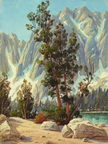 高山景观 1