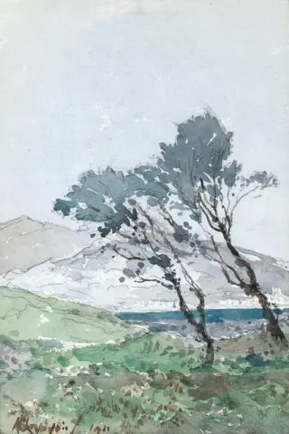 Dennen aan de zee rond Antibes 1911