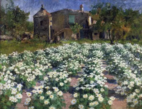 Felter av blomster