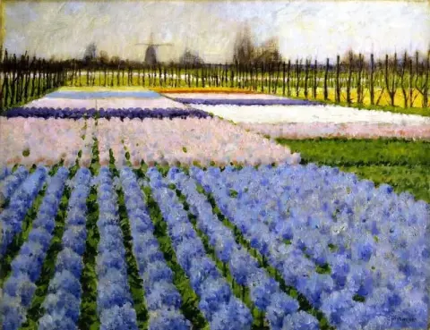 Holland Hyacinth Garden