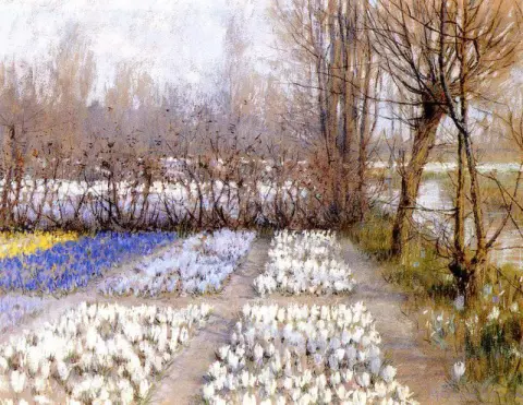 Vårkrokusmarker ca. 1889