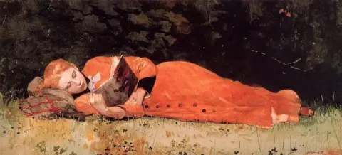 Новый роман 1877 г.