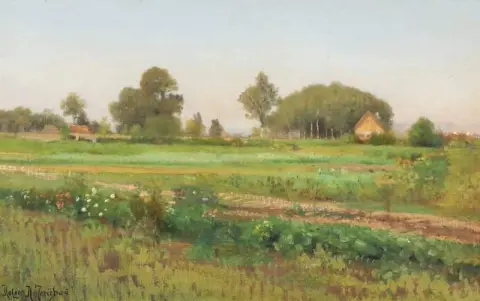 paisaje de verano