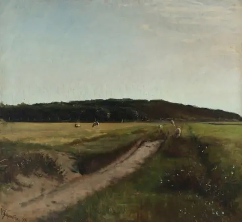 Landschaft aus Skagen