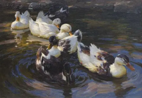 Enten في Blue Wasse