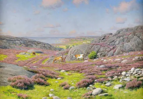 Szene von der Nordküste Hallands