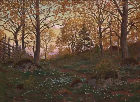 Frühlingslandschaft in der Abenddämmerung