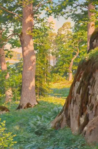 Sonnenbeschienener Waldweg mit See