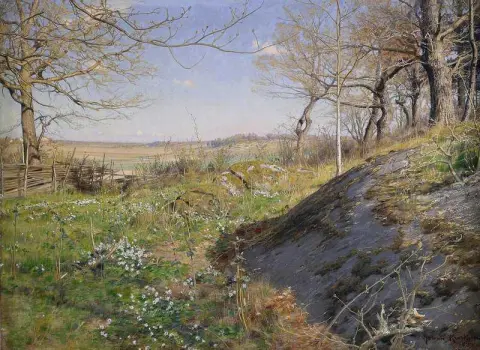 Sonnenbeschienener Waldweg