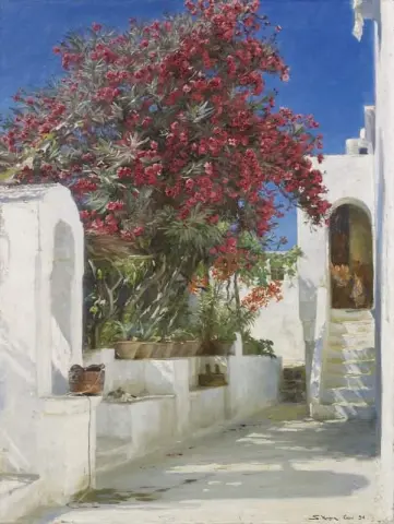 Blühende Oleander Capri 1896