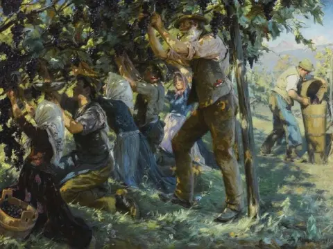 Vinhøst i Tyrol 1901