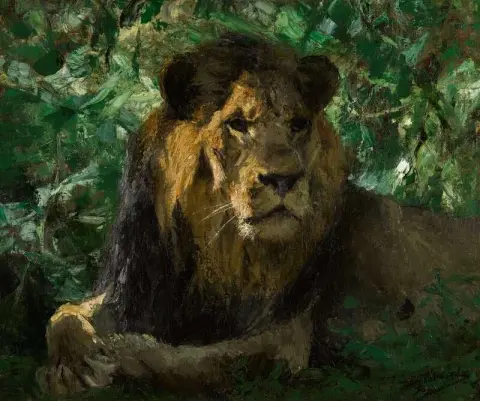 León descansando