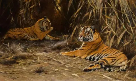 Tigres en la jungla 1910