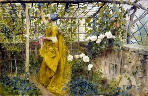 Viiniköynnös 1884