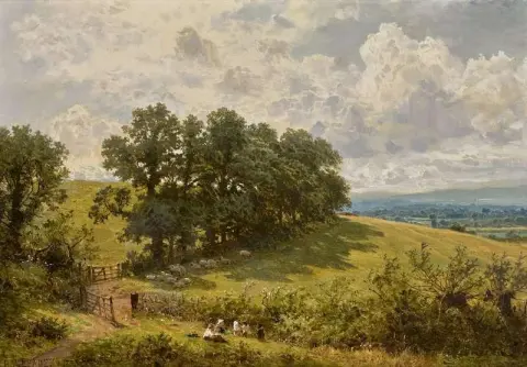 Hillocks Green 的树篱行榆树 1885