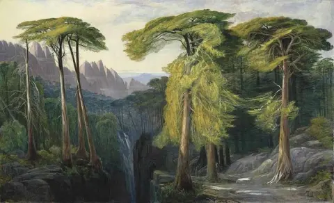 Bavella-skogen rundt 1878-88