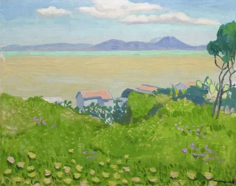 Sidi-bou-sa D Campos de flores 1923