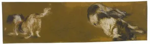肖特对艺术家 S 狗的研究 1851