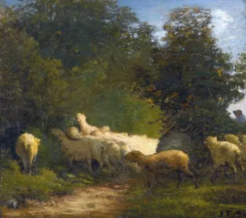 Sauer på beite langs en hekk 1861-62