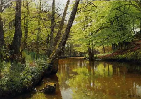 River Flowing Through A Tranquil Forest 1904