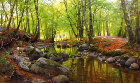 Springday In The Forest Near A Stream With Beeches And Anemones In Bloom 1899