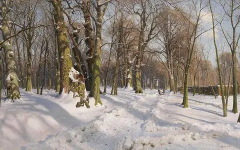 Verschneiter Waldweg Bei Sonnenlicht 1908