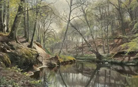 View From A Forest With A Stream Spring