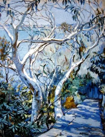 Wit tandvlees Cremorne Point Sydney Harbou