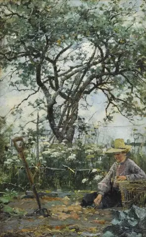 Estudo da Natureza 1884