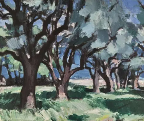 Trær Antibes